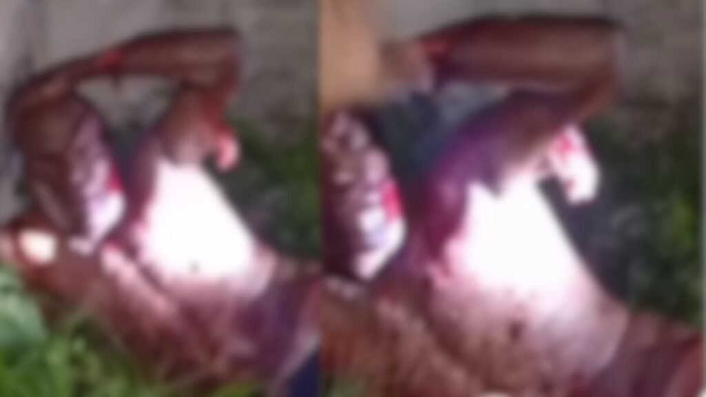 Video: Turba Enfurecida Picotea a Hombre Sorprendido Mientras Intentaba Raptar a una Niña en Villa Palmera