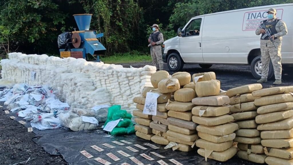 Inacif destruye más de 2 toneladas de drogas decomisadas en diferentes provincias